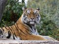 ZOO-Viden 24 srpen 2014 044.JPG